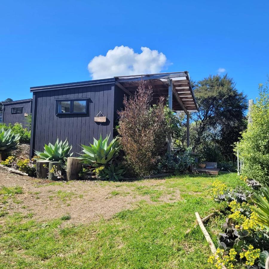 Wild Days Accommodation Palm Beach Екстериор снимка